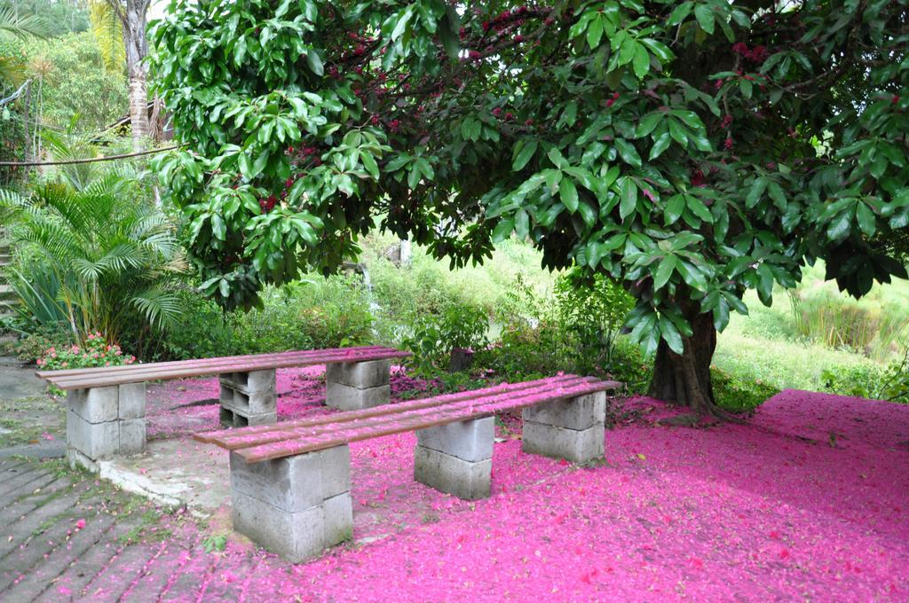 Eco Pousada Eldorado Lumiar Esterno foto