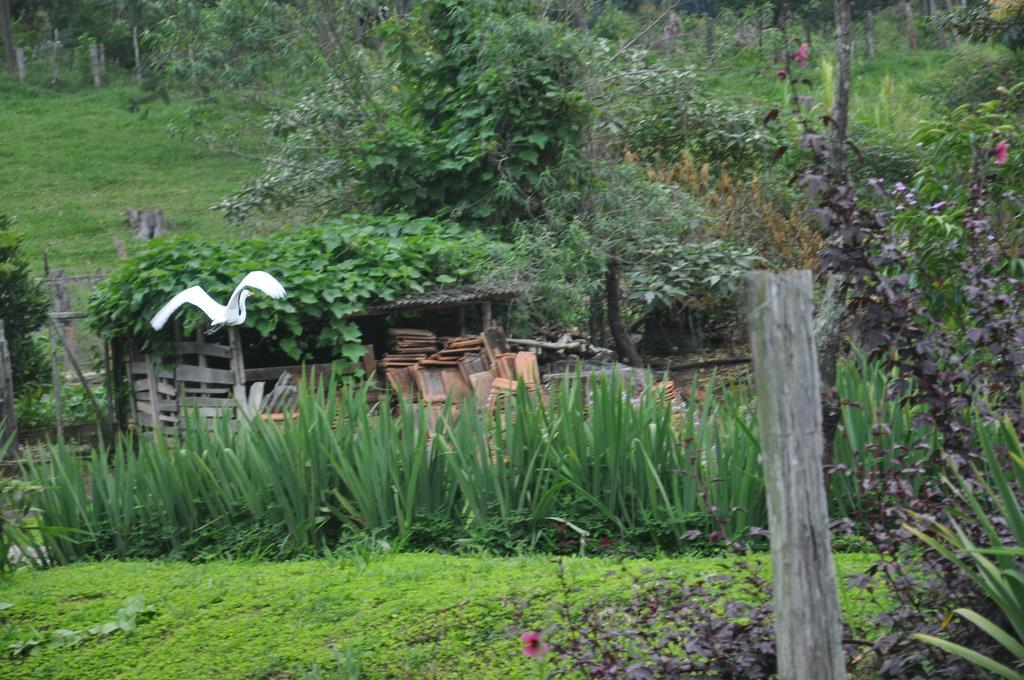 Eco Pousada Eldorado Lumiar Esterno foto