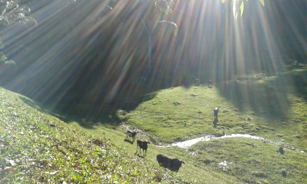 Eco Pousada Eldorado Lumiar Esterno foto